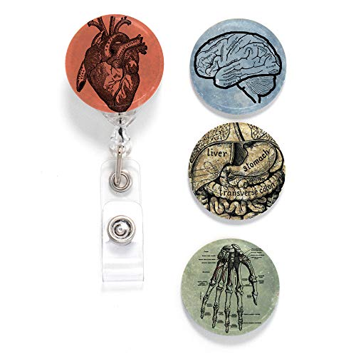 Book Cover Buttonsmith Anatomy Tinker Reel Retractable Badge Reel - With Alligator Clip and Extra-Long 36 inch Standard Duty Cord - Made in the USA