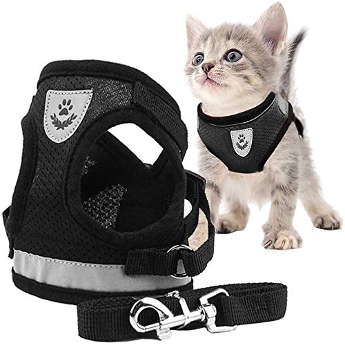 Book Cover Cat Harness