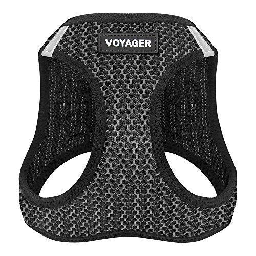Book Cover Voyager Step-in Air Dog Harness - All Weather Mesh, Step in Vest Harness for Small and Medium Dogs by Best Pet Supplies