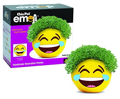 Book Cover Chia Easy to Do and Fun to Grow, Novelty Gift, Perfect for Any Occasion, Multicolor, Emoji Poopy