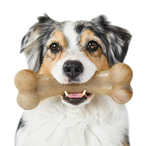 Book Cover Pet Qwerks Real Bacon Infused BarkBone - Durable Toys for Aggressive Chewers, Tough Indestructible Extreme Power Chewer Bones | Made in USA, FDA Compliant Nylon - for Small Dogs & Teething Puppies