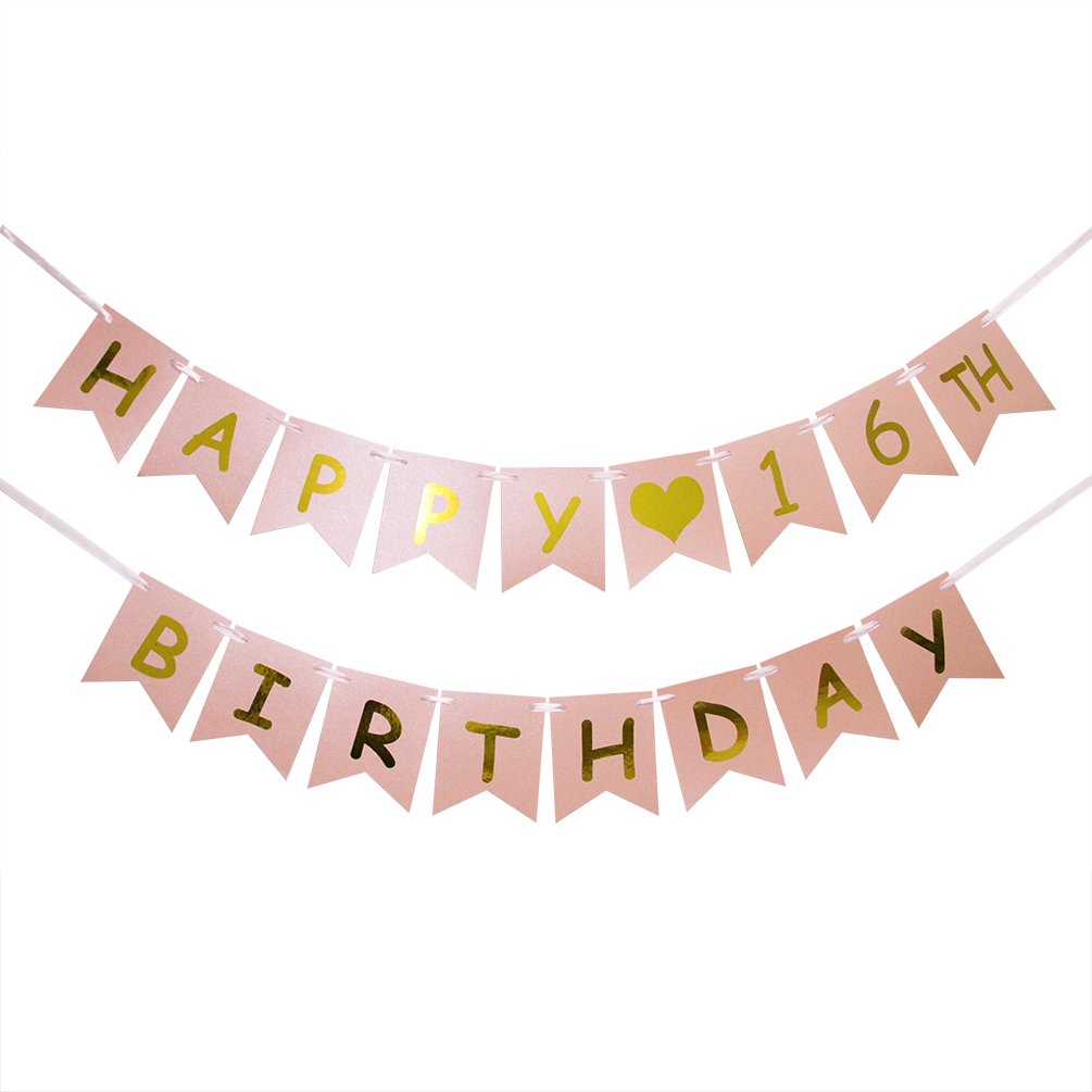 Book Cover Happy 16th Birthday Banner - Pink and Gold 16th Birthday Decorations - Sweet 16 - Milestone Happy Birthday Decorations