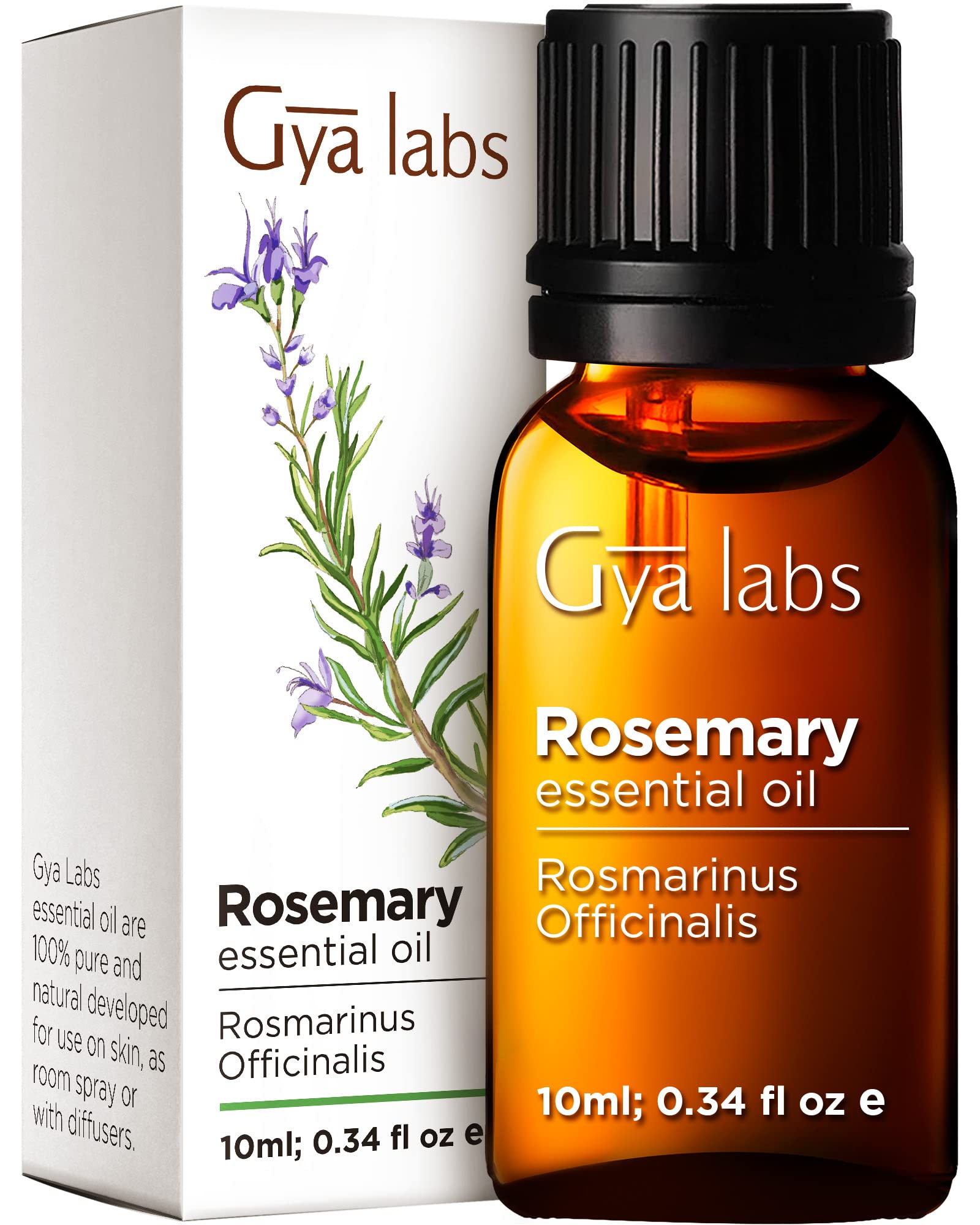 Book Cover Gya Labs Rosemary Oil for Hair & Scalp (0.34 fl oz) - Natural Rosemary Essential Oils for Hair, Skin & Diffuser Rosemary 0.34 Fl Oz (Pack of 1)