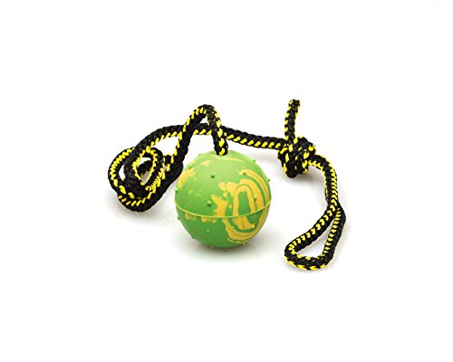 Book Cover Puppy Dog Ball, K9 Ball, Solid Rubber Ball on Rope for Reward, Fetch, Play 2