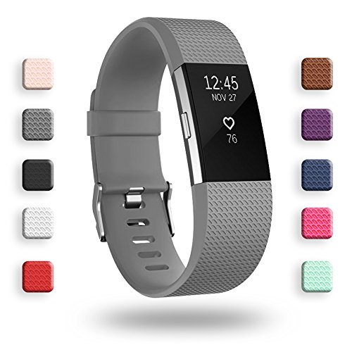 Book Cover POY Replacement Bands Compatible for Fitbit Charge 2, Classic Edition Adjustable Sport Wristbands, Small Gray