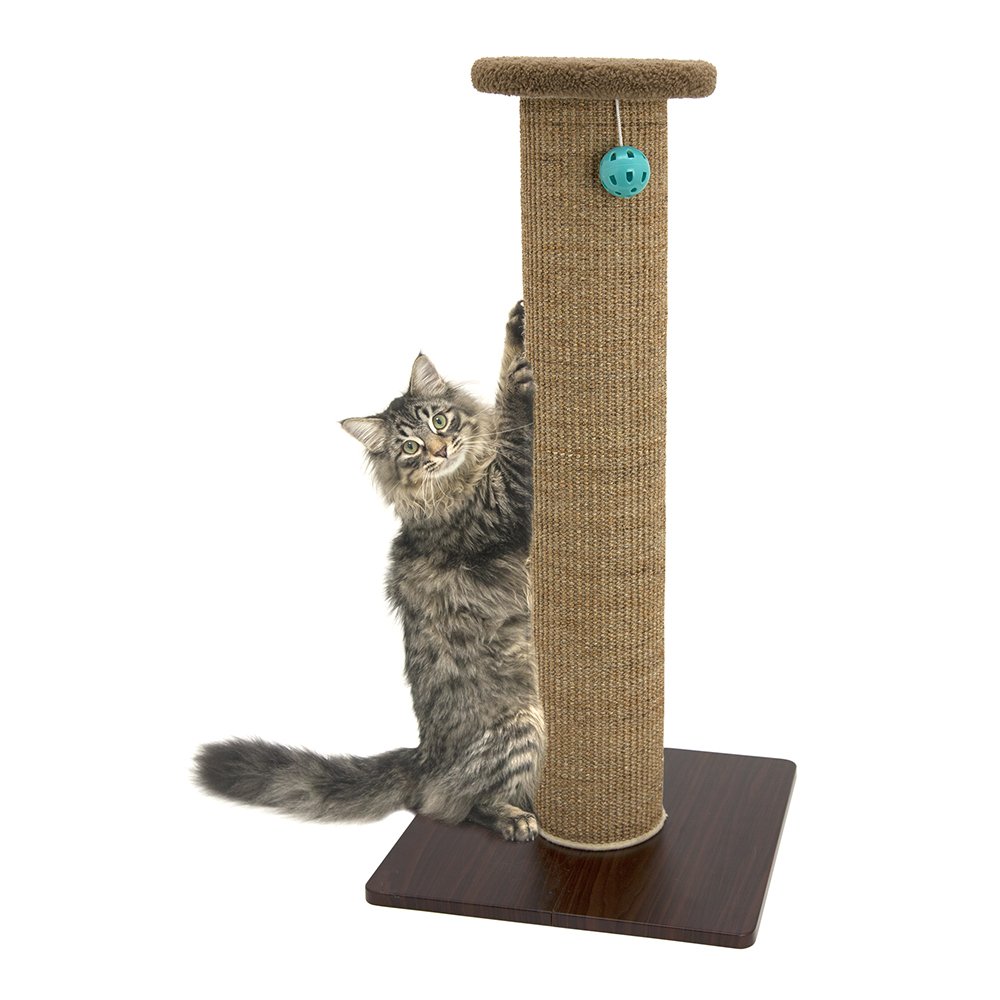 Book Cover Kitty City Sisal Post Cat Scratchers and Cushion