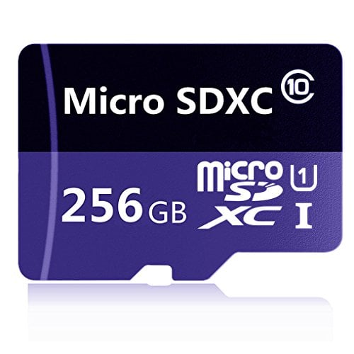 Book Cover 256GB Micro SD SDXC Class 10 Memory Card 256g with Adapter(SD18HL-256-C6)