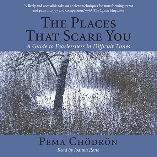 Book Cover The Places That Scare You: A Guide to Fearlessness in Difficult Times