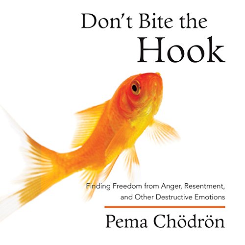 Book Cover Don't Bite the Hook: Finding Freedom from Anger, Resentment, and Other Destructive Emotions