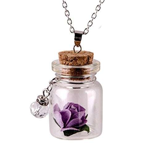Book Cover Lavany Long Chain Necklace With Glow in the Dark Flower Glass Tiny Wishing Bottle Pendant Jewelry (Purple)