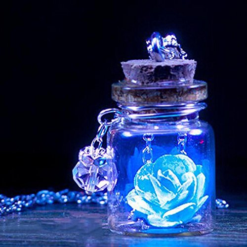 Book Cover LAVANY Long Chain Necklace with Glow in The Dark Flower Glass Tiny Wishing Bottle Pendant Jewelry (Blue)