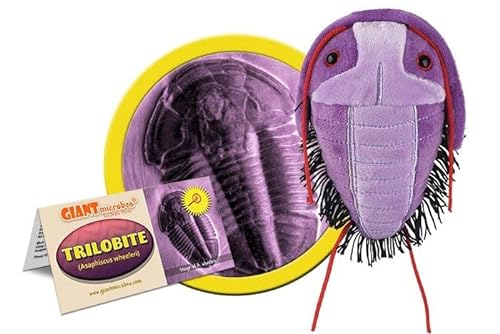 Book Cover GIANTmicrobes Trilobite Plush - Learn About Fossils and Prehistoric Creatures, Unique Gift for Family, Friends, Scientists, Nature Lovers and Dinosaur Fans