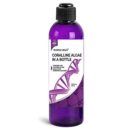 Book Cover Coralline Algae in a Bottle + Nitrifying Bacteria for Saltwater Aquariums, Purple Helix Strain