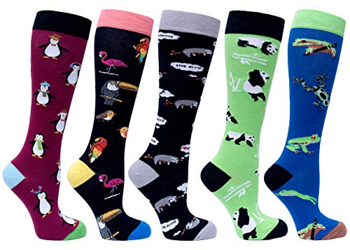 Book Cover socks n socks-Women 5-Pairs Luxury Cotton Colorful Cool Fun Knee high Socks
