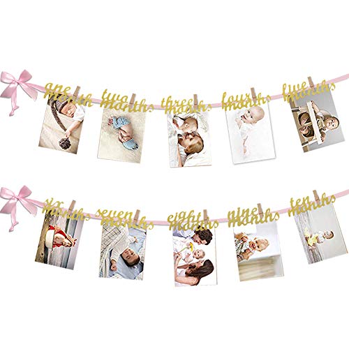Book Cover VGOODALL 12 Month Photo Banner, First Birthday Decoration, Milestone Photo Banner for First Birthday Party, Great (Pink and Gold)