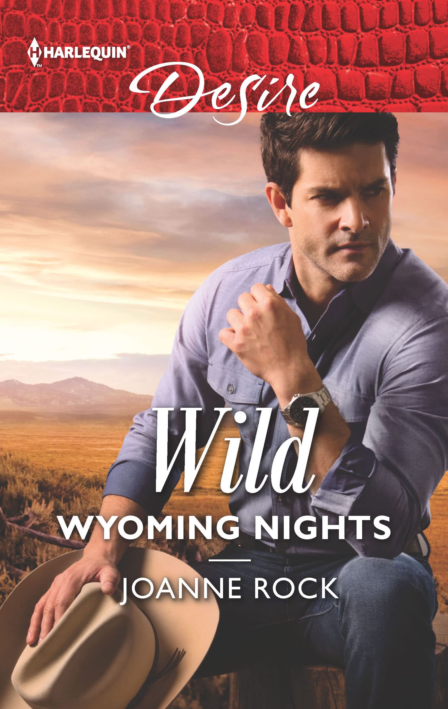 Book Cover Wild Wyoming Nights (The McNeill Magnates Book 2608)