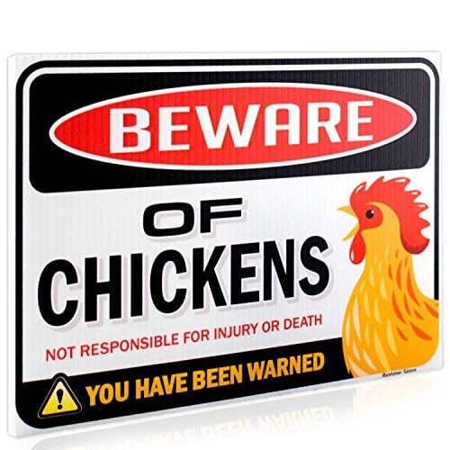 Book Cover Bigtime Signs Beware of Chickens Warning Sign - 9 inches x 12 inches - Danger Sign Funny Gag Gifts for Chicken Fan Lovers - Corrugated Plastic - Indoor or Outdoor - Chicken Rooster Plaque Sign
