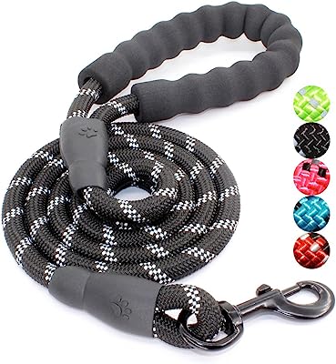 Book Cover BAAPET 5 FT Strong Dog Leash with Comfortable Padded Handle and Highly Reflective Threads for Medium and Large Dogs (Black)