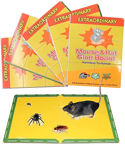 Book Cover Mouse Glue Trap, Extra Large Rat Glue Traps, New Version Strongly Adhesive, Best Peanut Butter Scented Mouse Traps Glue Board for Mice & Rodent &Pests & Bug & Ant & Spider 5 Pack