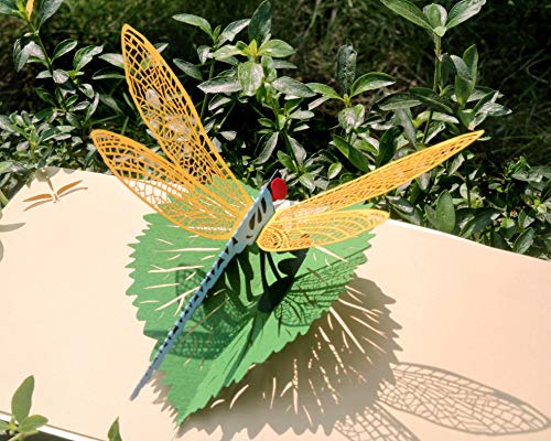 Book Cover CUTPOPUP | Dragonfly | 3D Pop Up All Occasion Greeting Card | Delightful Dragonfly Design Makes a Lovely Gift Card for Mother's Day | With Envelope