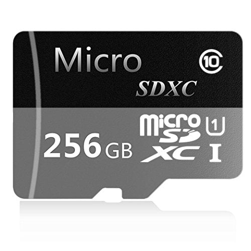 Book Cover Generic 256GB Micro SD SDXC Class 10 Memory Card 256GB with Adapter(S40-HB256A-F6) (256 GB) (256GB)