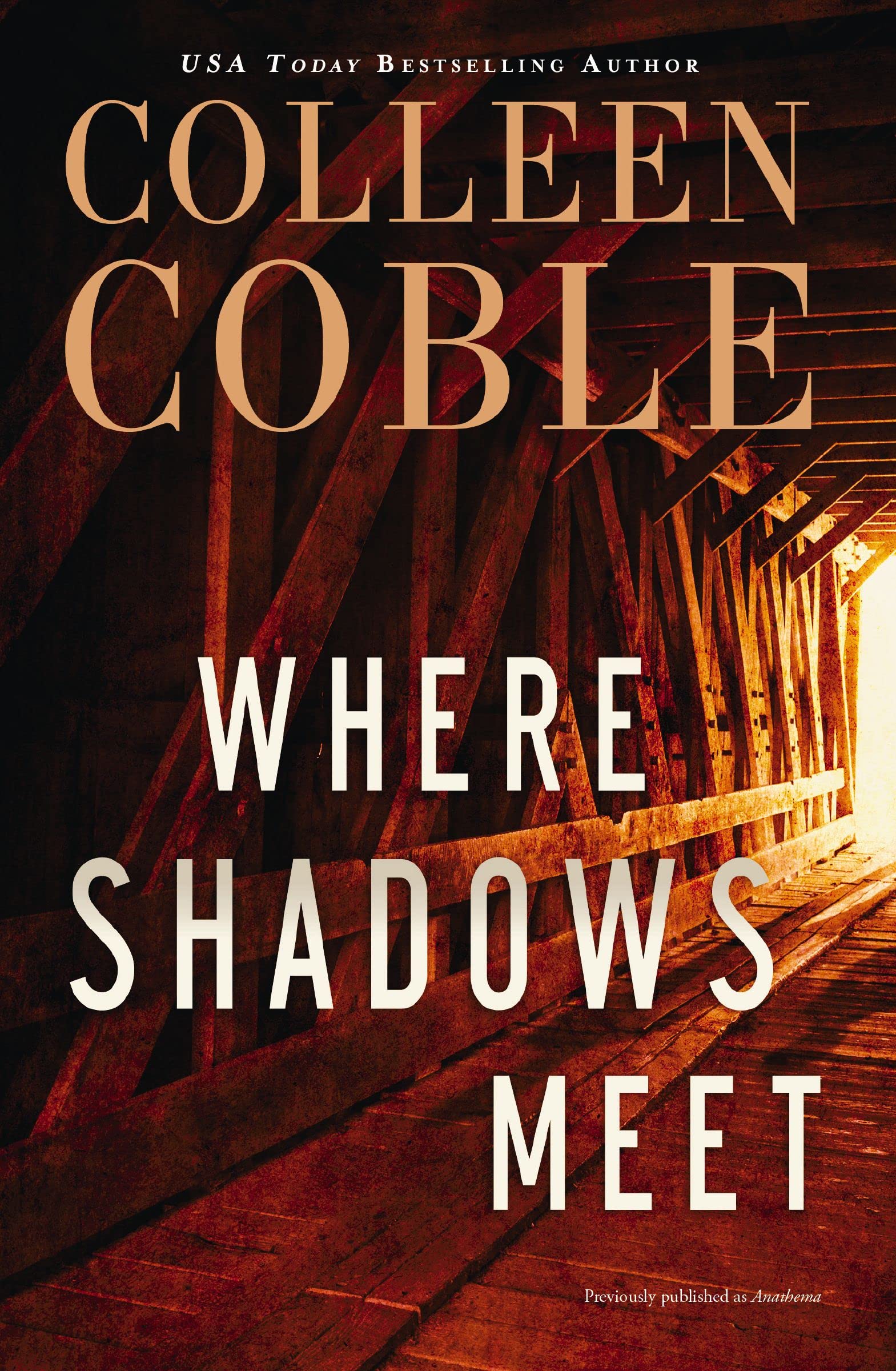 Book Cover Where Shadows Meet: A Romantic Suspense Novel