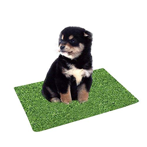 Book Cover Kwan Artificial Grass Turf Training Pad Replacement for Pet Potty Toilet Trainer for Puppy Dog Pee Indoor Home (Large)