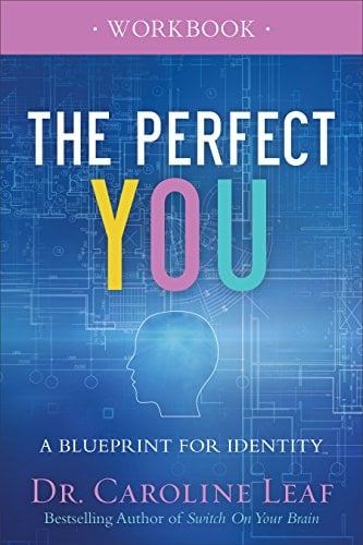 Book Cover The Perfect You Workbook: A Blueprint for Identity