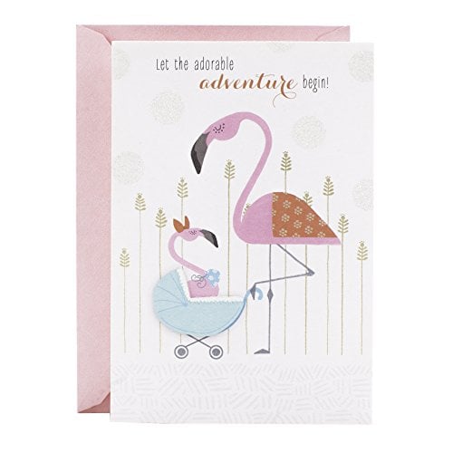 Book Cover Hallmark Baby Shower Card (Flamingo)