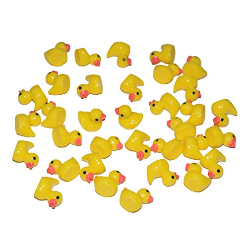 Book Cover AMOBESTER Slime Charms Ducks Tiny Duck Miniature Garden Decoration Ornament Hard Resin Duck Charms 50Psc Slime Beads for Slime Decoration