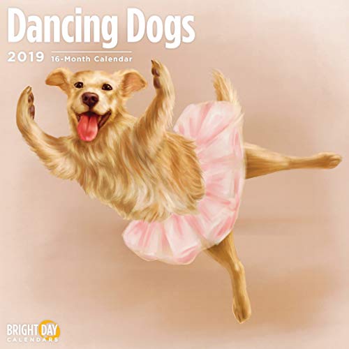 Book Cover 2020 Dancing Dogs Calendar 16 Month 12 x 12 Wall Calendar by Bright Day Calendars (Kids and Family Collection) (Dancing Dogs 2019)