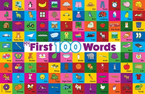 Book Cover My 100 First Words LAMINATED Poster (18 x 24)