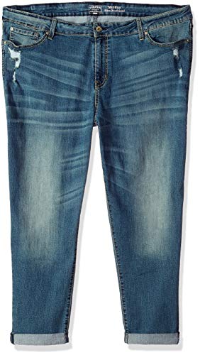 Book Cover Signature by Levi Strauss & Co. Gold Label Women's Plus Size Mid Rise Slim Boyfriend Jeans