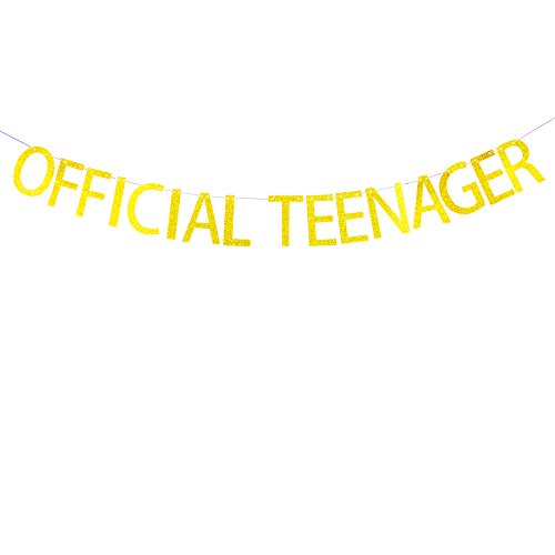 Book Cover Succris Official Teenager Banner for 13th Birthday Party Decorations