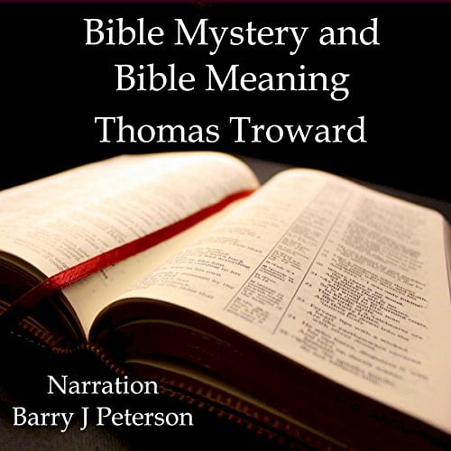 Book Cover Bible Mystery and Bible Meaning