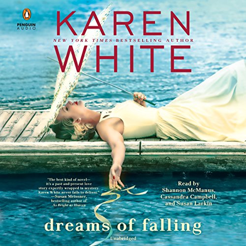 Book Cover Dreams of Falling