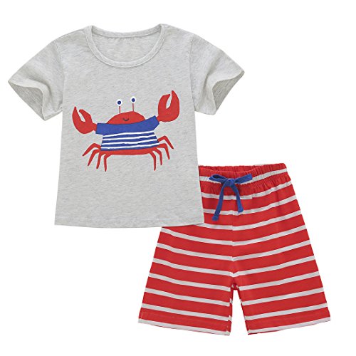Book Cover Neeseelily Baby Boys Summer Sleeve Short T-Shirts and Stripe Shorts 2pcs Shorts Set Outfit
