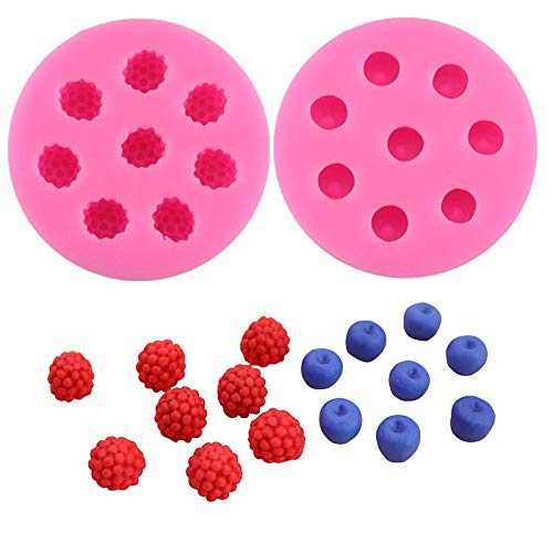 Book Cover Molds for Cupcakes Topper Decorating 2pack Blueberry Raspberry Icecube Silicone Molds, Fondant Cake Decorating Molds,Baking Tools, Chocolate Candy Making Mold