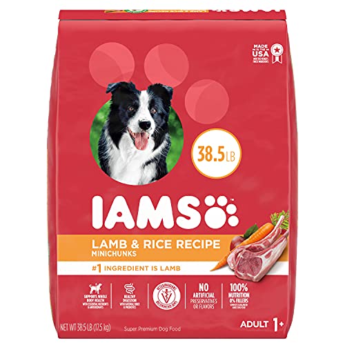 Book Cover IAMS Minichunks Adult Dry Dog Food Lamb & Rice Recipe Dog Kibble, 38.5 lb. Bag