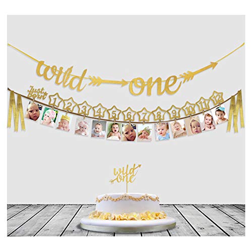 Book Cover Baby's 1st Birthday Decorations- 12 Month Photo Banners,Wild One Birthday Banners,Wild One Cupcake Topper,The Wild One Party Supplies (Wild one) (Gold)