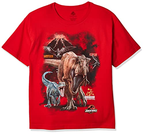 Book Cover Jurassic World Boys 2 T-rex & Raptor Short Sleeve T-Shirt
