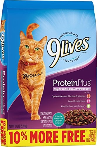 Book Cover 9Lives Protein Plus Dry Cat Food Bonus Bag, 13.2Lb
