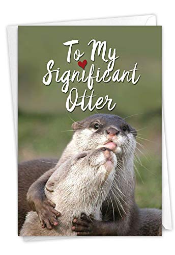 Book Cover C5528BDG Significant Otters: Funny Birthday Greeting Card Featuring Sweet Otters Showing Love to Their Partner, with Envelope.
