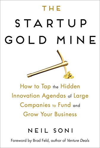 Book Cover The Startup Gold Mine: How to Tap the Hidden Innovation Agendas of Large Companies to Fund and Grow Your Business