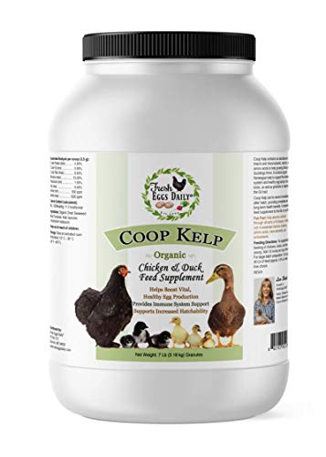 Book Cover Fresh Eggs Daily Coop Kelp Organic Chicken and Duck Feed Supplement 7LB