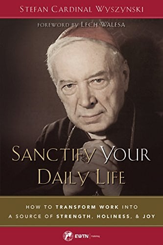 Book Cover Sanctify Your Daily Life: How to Transform Work Into a Source of Strength, Holiness, and Joy