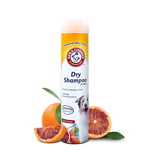 Book Cover Arm & Hammer Dry Shampoo for Dogs | Dry Dog Shampoo Aerosol Spray Cleans & Deodorizes, Blood Orange Scent