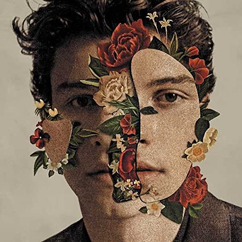 Book Cover Shawn Mendes