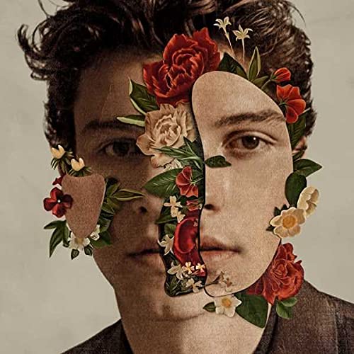 Book Cover Shawn Mendes [LP]