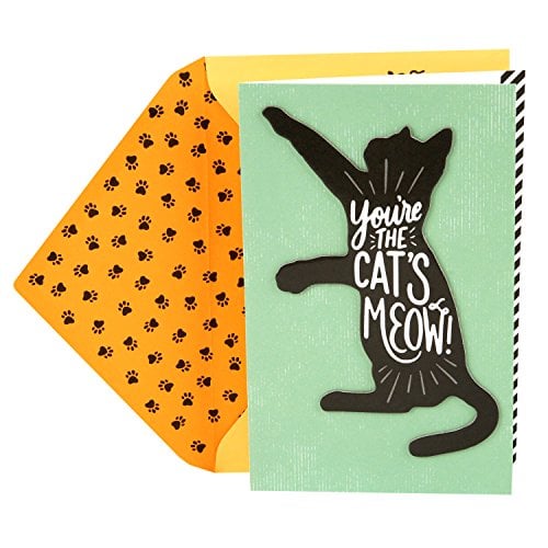 Book Cover Hallmark Birthday Greeting Card from the Cat (Cat's Meow)